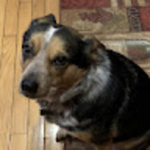 Meet your Posher, Alyson